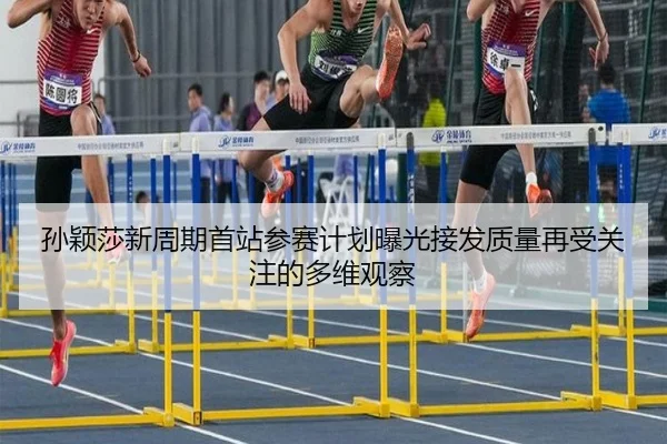 孙颖莎新周期首站参赛计划曝光接发质量再受关注的多维观察